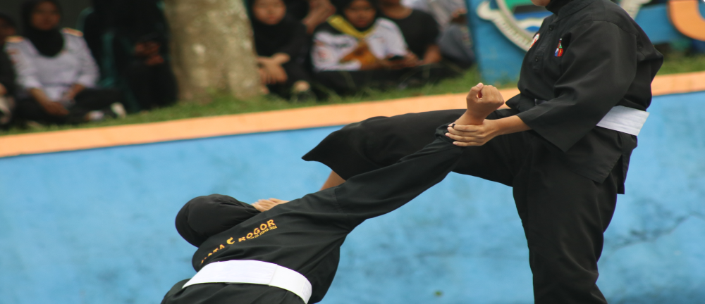 Pencak Silat