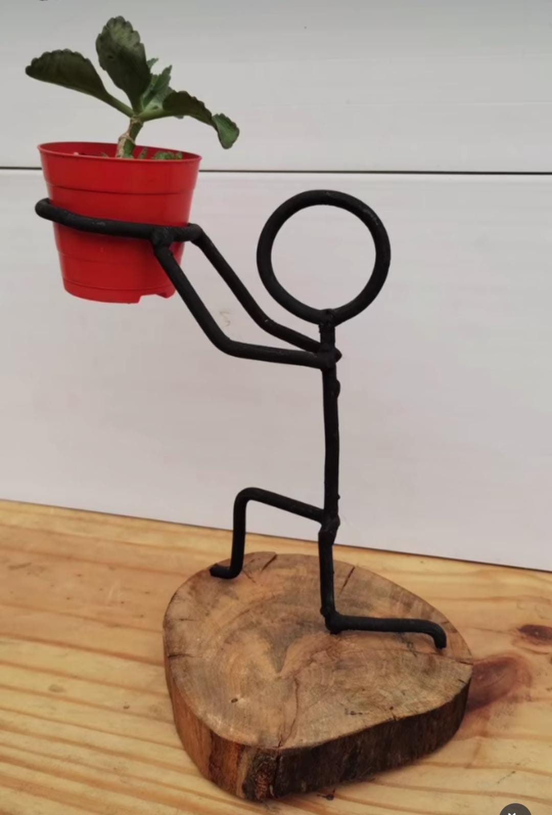 Pot tanaman figur